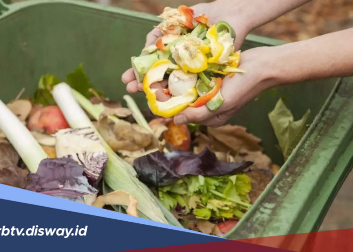 Mudah dan Cepat, Begini Cara Ubah Sampah Dapur Jadi Kompos, Tanaman Lebih Cepat Berbunga