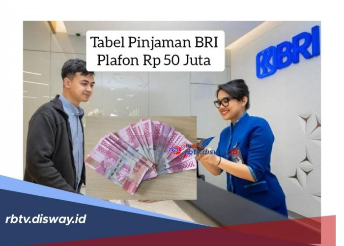 Tabel Pinjaman BRI 2024 Plafon Rp 50 Juta, Bunga Rendah dan Tenor Kredit Panjang 