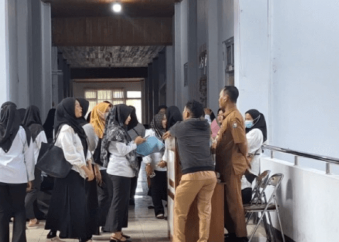 902 Tenaga Honorer di Mukomuko Kehilangan Prioritas