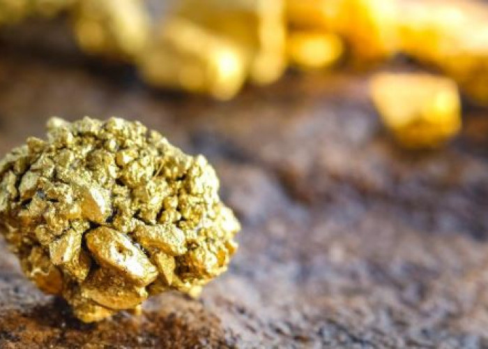 Wow...This Small Village Holds 40 Million Tons of Gold, Long Coveted by PT. Freeport