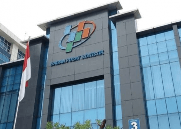Belum Banyak yang Tahu, Ini Sederet Keuntungan Menjadi Mitra Statistik BPS 2026