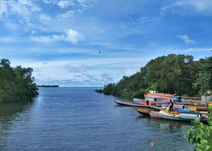 Daftar Ketersediaan Bahan Pangan di Pulau Enggano, Camat: Bukan Masalah Kelaparan, Tetapi Ekonomi Lumpuh