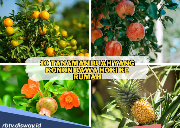 10 Tanaman Buah Pembawa Hoki ke Rumah, Anda Pilih yang Mana?