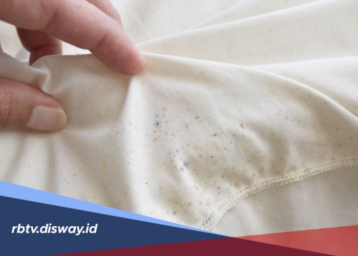 4 Cara Mudah Menghilangkan Jamur di Baju Terbukti Ampuh
