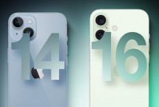 iPhone 14 vs iPhone 16, Mana yang Cocok Buat Kamu?