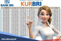 Cara Mengecek Pengajuan Pinjaman KUR di BRI Via Handphone, Cek Juga Berapa Angsuran Bulanan Pinjaman 40 Juta