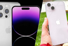 Bingung Menentukannya? Ini Perbandingan iPhone 14 vs iPhone 15 Plus