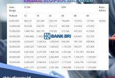 Ini Tabel Lengkap Kupra BRI, Solusi Gagal Pengajuan KUR 2026
