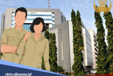 Ini Syarat untuk Diangkat Menjadi Pejabat Eselon IV serta Tugas dan Kewenangannya
