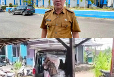 Klarifikasi Kadis Dinkes Lebong Terkait Mobil Ambulans Digunakan untuk Angkut Pupuk