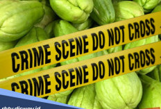 Adilkah? Tragedi Dua Buah Labu Siam Dibayar Nyawa Orang Miskin