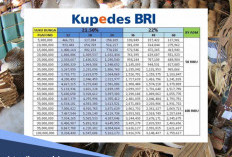 Tabel Kupedes BRI 2026, Cukup 6 Bulan Cicilan Lancar Bisa Tambah Limit Pinjaman