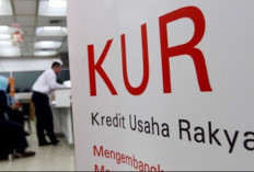 Marak Penipuan Modus KUR BRI, Begini Cara Memverifikasi Informasi Valid tentang KUR BRI