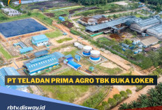 PT Teladan Prima Agro Tbk Buka Lowongan Pekerjaan Posisi Asisten Plasma