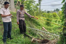 Tukang Panen Sawit di Seluma Tewas Saat Memanen, Egrek Tersangkut Kabel Listrik