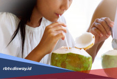 Kategori Orang yang Tidak Boleh Minum Air Kelapa Muda Berlebihan