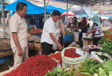 Sempat Tembus Rp150 Ribu per Kg, Harga Cabai di Mukomuko Kini Turun