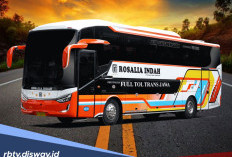 Harga Tiket dan Rute Bus Rosalia Indah untuk Mudik Lebaran 2026 