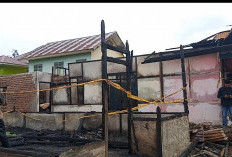 2 Rumah di Rejang Lebong Terbakar, 1 Korban Meninggal Dunia