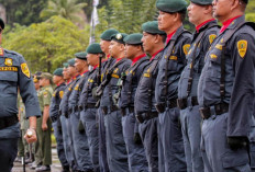 Penting Diketahui, Ini Sederet Tahapan dan Tes Seleksi CPNS Polhut di KLHK