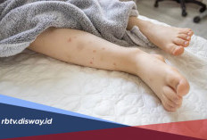 Ciri Digigit Tungau dan Obatnya: Kenali Gejalanya dan Cara Meredakan Gatalnya