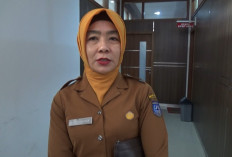 Pusat Putus Ex Officio Kepala BPBD, Daerah Wajib Bentuk Struktur Definitif