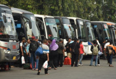 6 Pilihan Bus dari Bandung ke Lampung, Cek Harga Tiket dan Fasilitas