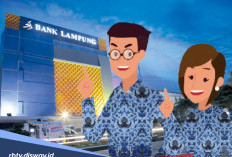 Cara dan Persyaratan Lengkap Mengajukan Kredit Pantas di Bank Lampung Bagi PPPK