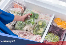 Cara Memulai Bisnis Frozen Food Rumahan, Modal Rp1 Juta Sudah Bisa Jalan 