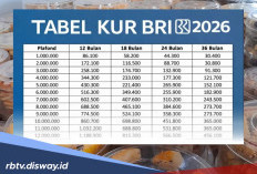 Lengkap! Syarat dan Cara Terbaru Pengajuan KUR BRI Plafon Rp 100 Juta