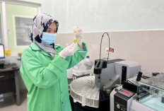 PT Socfin Indonesia Buka Lowongan Kerja untuk Lulusan D3 Analisis, Ini Link Pendaftaran