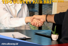 Info Menarik, Ini Tabel KUR BRI Mei 2026 Rp 55 Juta dan Daftar Pertanyaan saat Survei