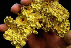 This is the Location of Gold Reserves in South Solok, Indonesia, and the Amount is Vast