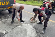 Antisipasi Kecelakaan Lalu Lintas, Kapolres Seluma Turun Tangan Cor Lubang Jalan