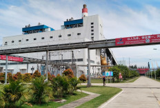 Hasil Temuan Waka I dan Komisi III DPRD Provinsi Bengkulu Usai Sidak PLTU Pulau Baai Bengkulu 