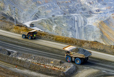 Summary of Gold Mining Problems in Indonesia Throughout 2025