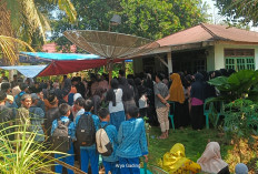 Waspada Demam Berdarah, Murid SMPN 2 Seluma Meninggal Dunia dengan Status DBD