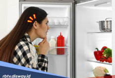 Ternyata Ini 10 Penyebab dan Cara Mengatasi Suara Kulkas Berisik