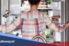 Cara Menghilangkan Bau Tak Sedap pada Kulkas dengan Mudah Menggunakan Kopi Bubuk