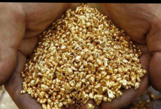 Wow....Desa Kecil Ini Menyimpan 40 Juta Ton Emas, Sudah Lama Diincar PT. Freeport