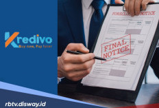 Simulasi Angsuran Kredivo Pinjaman Rp 2 Juta, Apakah DC Lapangan Kredivo Ada yang Perempuan? 
