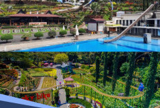 Keseruan Wisata Selecta Kota Batu 2026: Legend, tapi Nggak Kalah Seru dari Wisata Baru