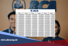 Pinjaman KUR BCA 2026: Simulasi Cicilan dan Pilihan Plafon hingga Rp500 Juta