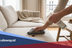 Cara Membersihkan Sofa Tanpa Vacuum Cleaner, Praktis Pakai Alat yang Ada di Rumah