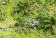 Travel Lampung-Bengkulu Masuk Jurang 70 Meter di Kaur, Ini Daftar Sopir dan Penumpangnya