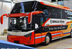 Tradisi Mudik Pulang Kampung Bersama Bus Rosalia Indah, Segini Harga Tiketnya Sekarang