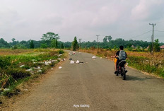 Pemkab Seluma Anggarkan Rp200 Juta untuk Pasang 26 Lampu Jalan