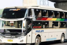 Mudik Lebaran 2026, Cek Harga Tiket Bus PO Sinar Jaya dan Rutenya 