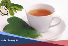 Menjadi Lebih Cantik hanya Bermodalkan Daun Sirsak, Begini Cara Mengolahnya