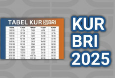 Angsuran Lengkap Pinjaman PNS KUR BRI Plafon Rp 1 hingga 100 Juta, Bisa Bayar Rp 21 Ribu per Bulan